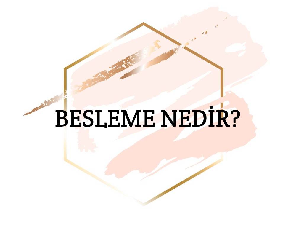 Besleme Nedir? 1