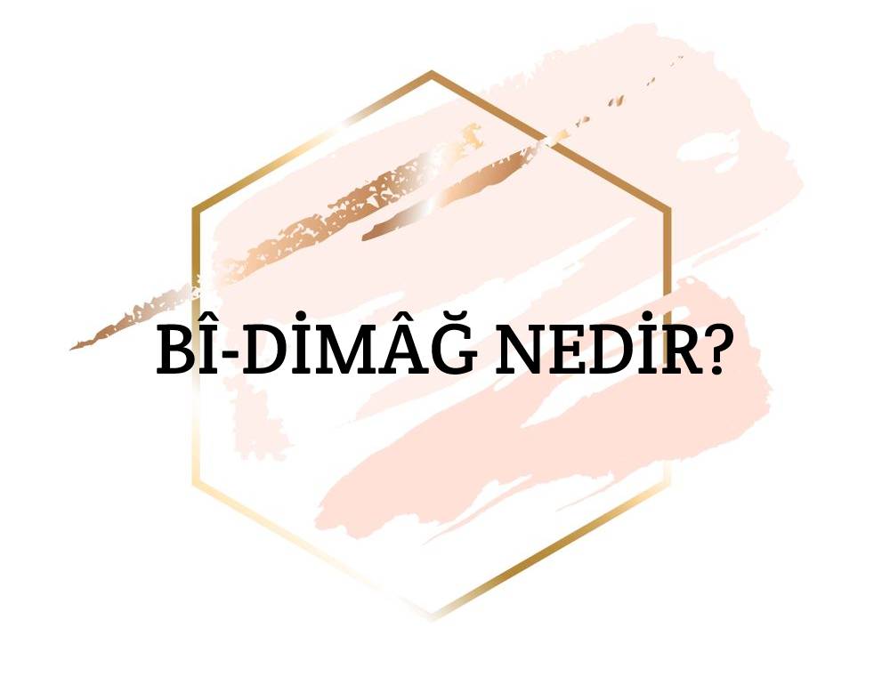 Bî-dimâğ Nedir? 1