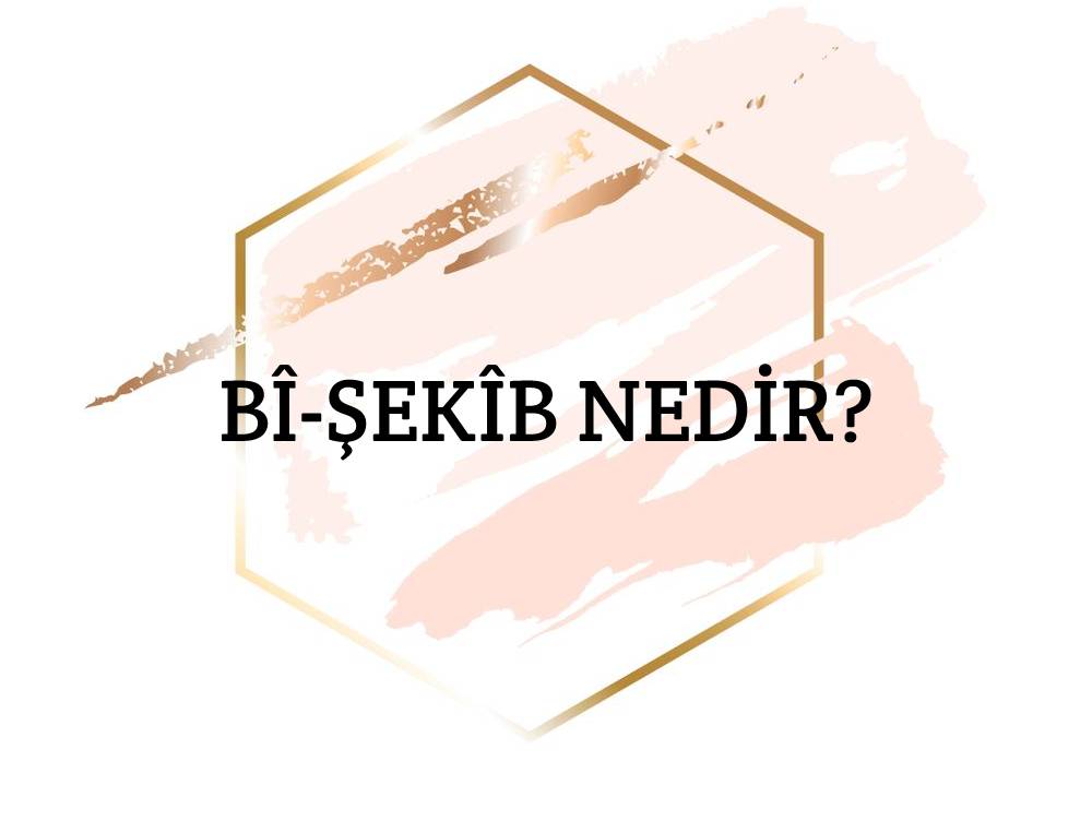 Bî-şekîb Nedir? 1