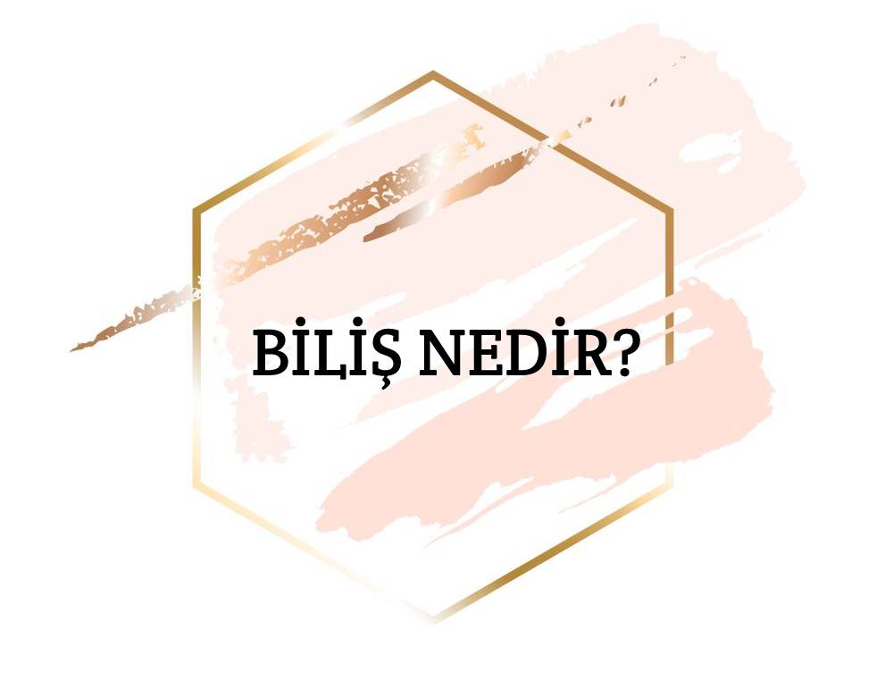 Biliş Nedir? 3