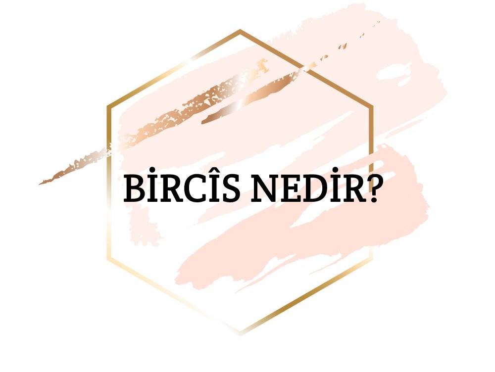 Bircîs Nedir? 1