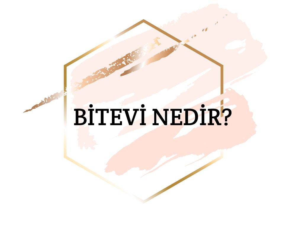 Bitevi Nedir? 2