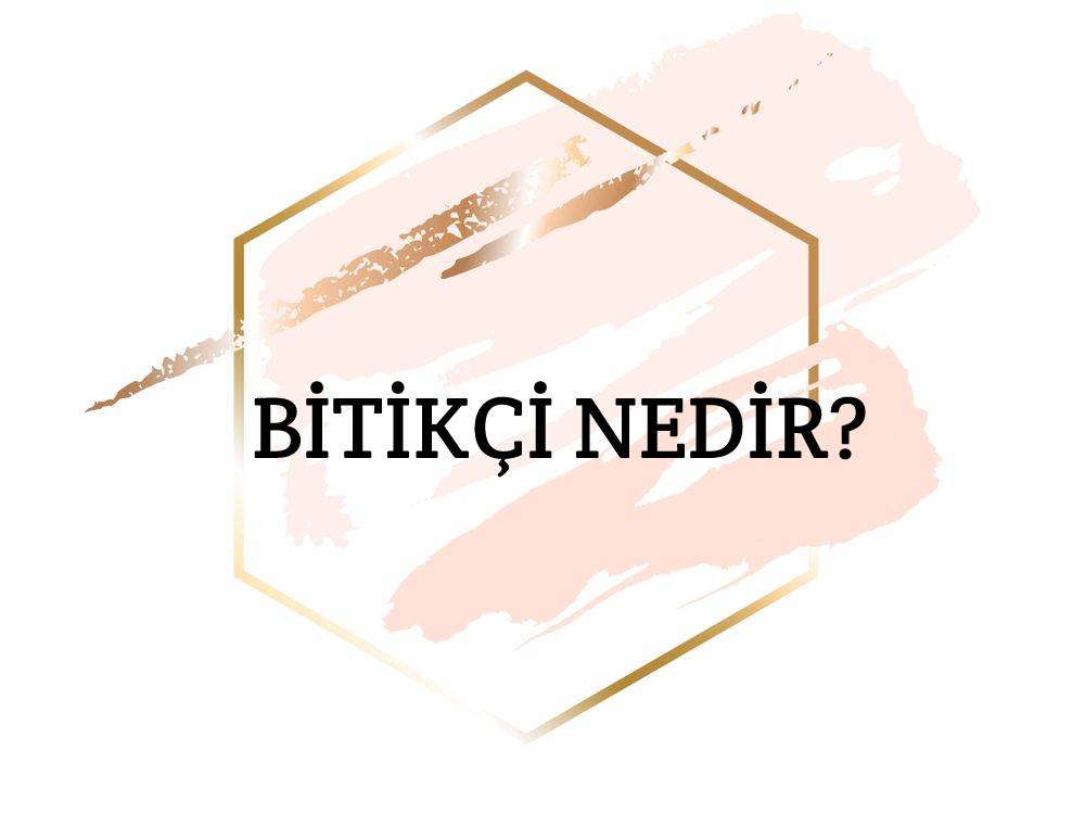 Bitikçi Nedir? 1