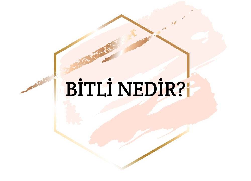 Bitli Nedir? 1