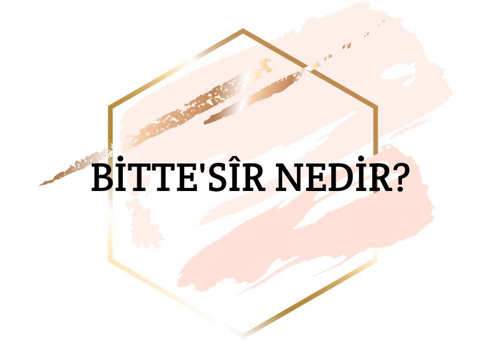 Bitte'sîr Nedir? 8