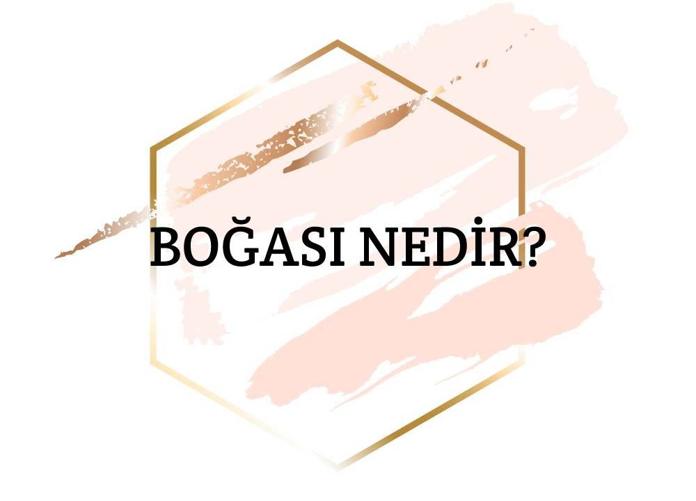 Boğası Nedir? 1