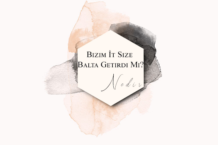 Bizim İt Size Balta Getirdi Mi? Nedir? 1