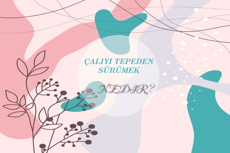 Çalıyı Tepeden Sürümek Nedir? 1
