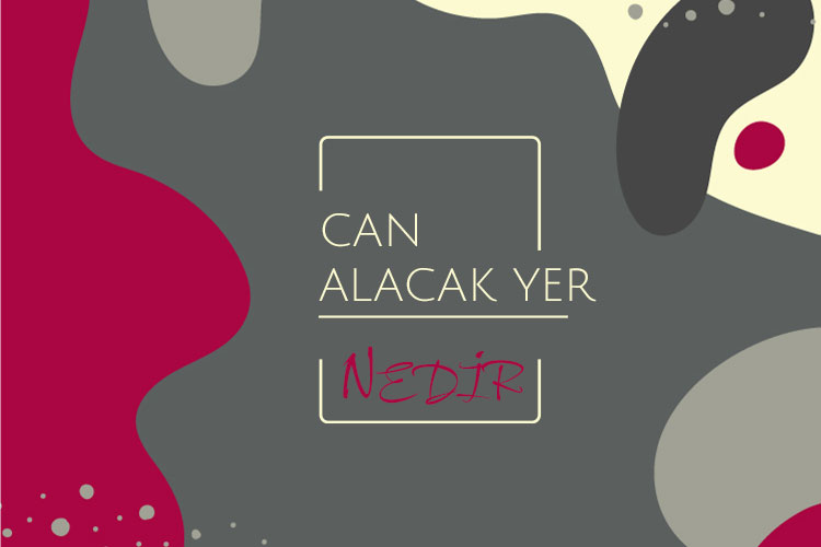 Can Alacak Yer Nedir? 1