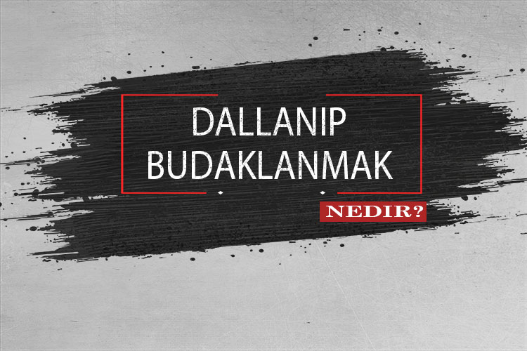 Dallanıp Budaklanmak Nedir? 1