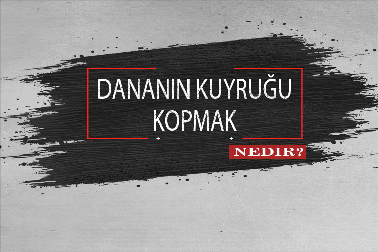 Dananın Kuyruğu Kopmak Nedir? 1