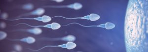 Koronavirüsün Sperm Üzerindeki Etkisi Nedir? 12