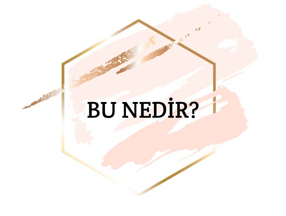 Bu Nedir? 1