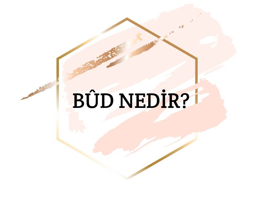 Bûd Nedir? 1