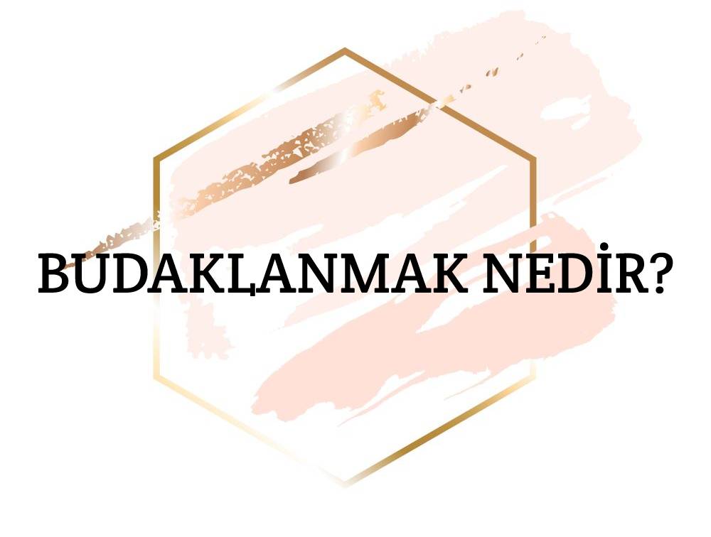 Budaklanmak Nedir? 1