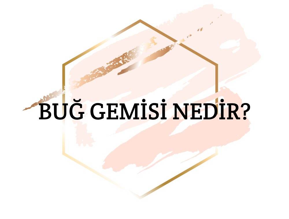 Buğ Gemisi Nedir? 1