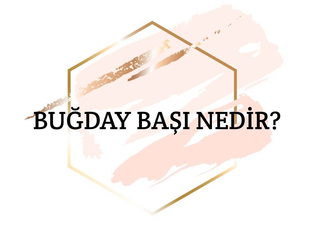 Buğday Başı Nedir? 1