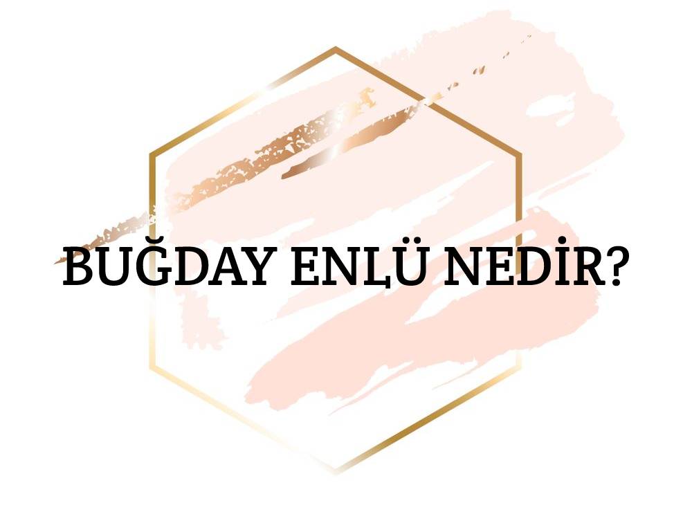 Buğday Enlü Nedir? 1