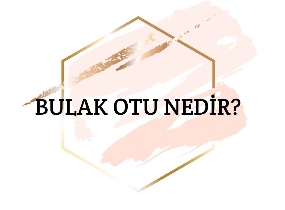 Bulak Otu Nedir? 1