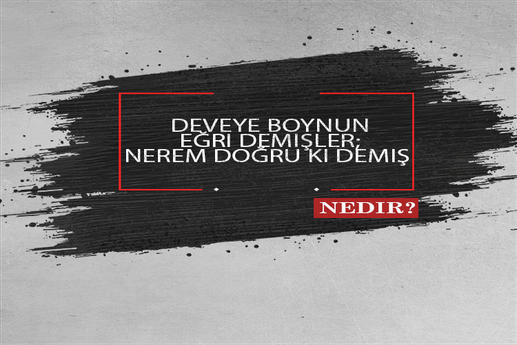 Deveye Boynun Eğri Demişler; Nerem Doğru Ki Demiş Nedir? 1