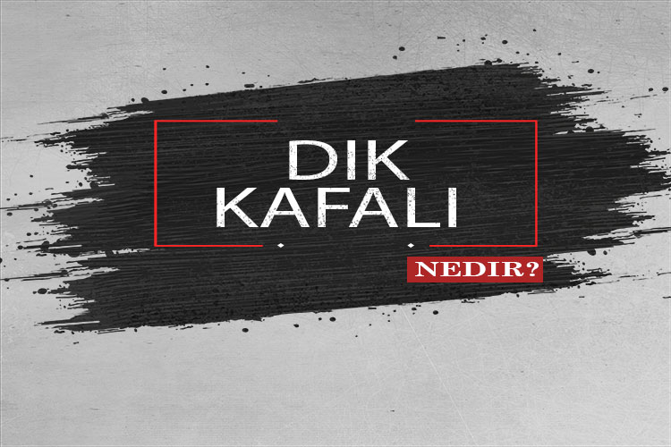 Dik Kafalı Nedir? 1