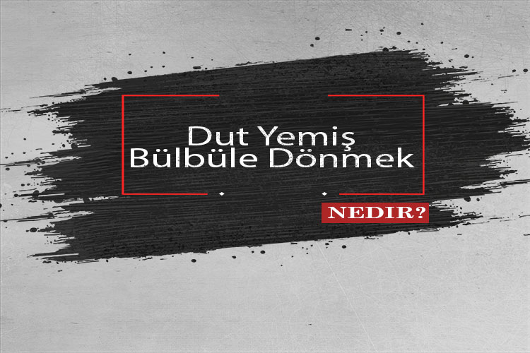 Dut Yemiş Bülbüle Dönmek Nedir? 1