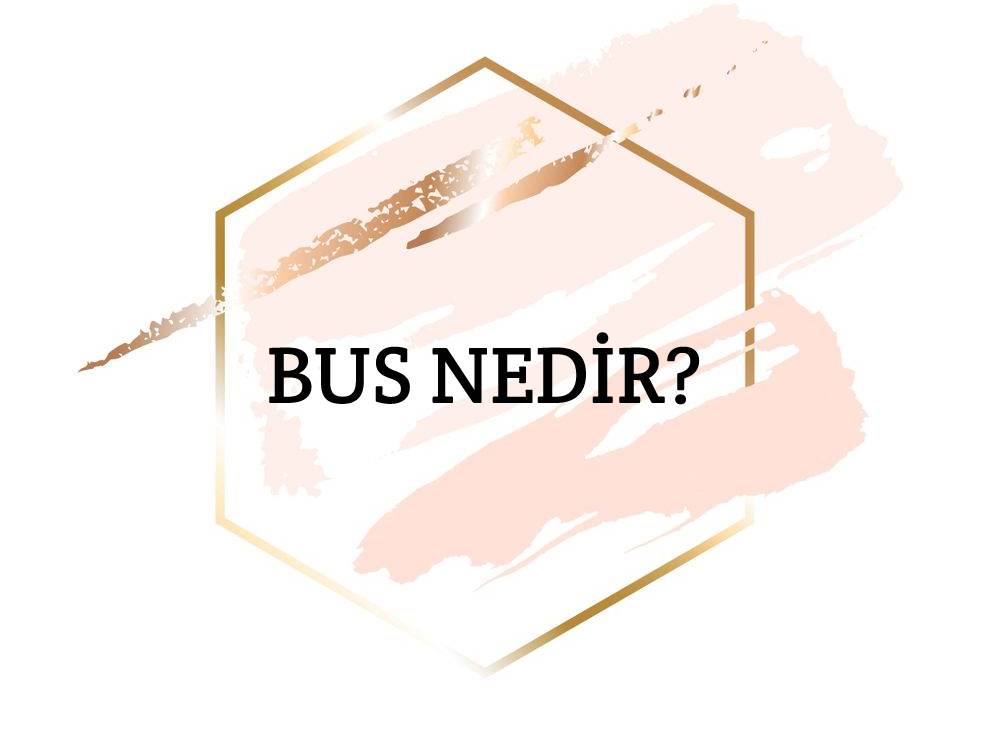 Bus Nedir? 1