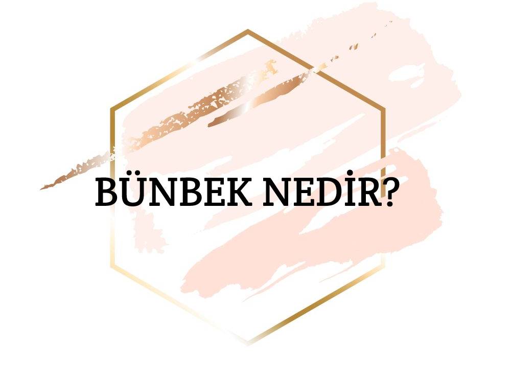 Bünbek Nedir? 1