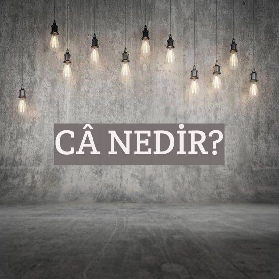 Câ Nedir? 2