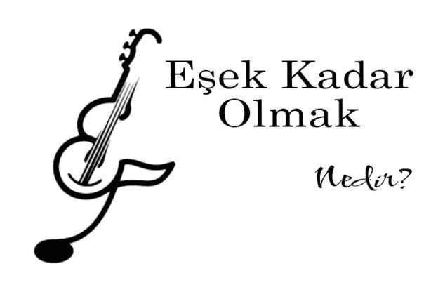 Eşek Kadar Olmak Nedir? 2