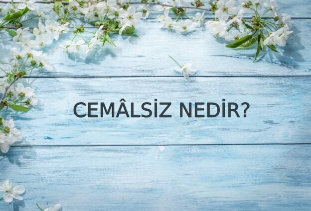 Cemâlsiz Nedir? 1