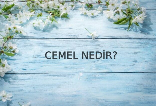 Cemel Nedir? 1