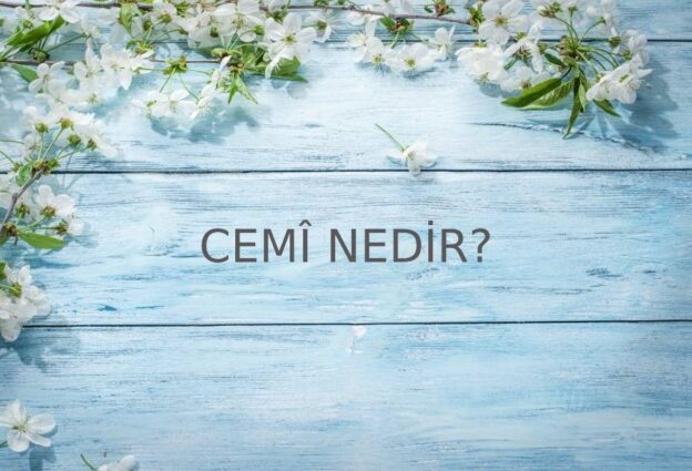 Cemî Nedir? 2