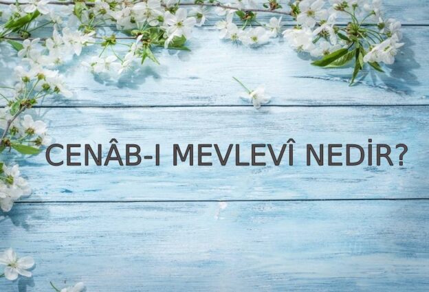 Cenâb-ı Mevlevî Nedir? 1