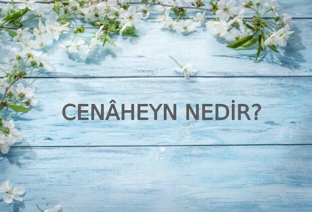 Cenâheyn Nedir? 1