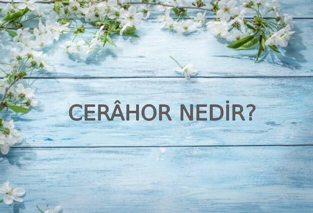 Cerâhor Nedir? 1
