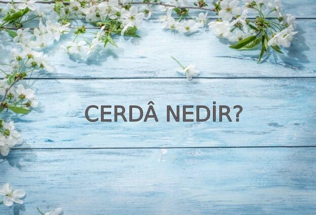 Cerdâ Nedir? 2