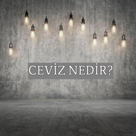 Ceviz Nedir? 1