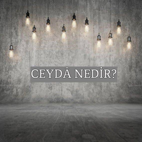 Ceydâ Nedir? 1