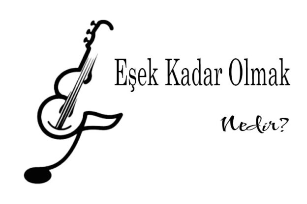 Eşek Kadar Olmak Nedir? 1