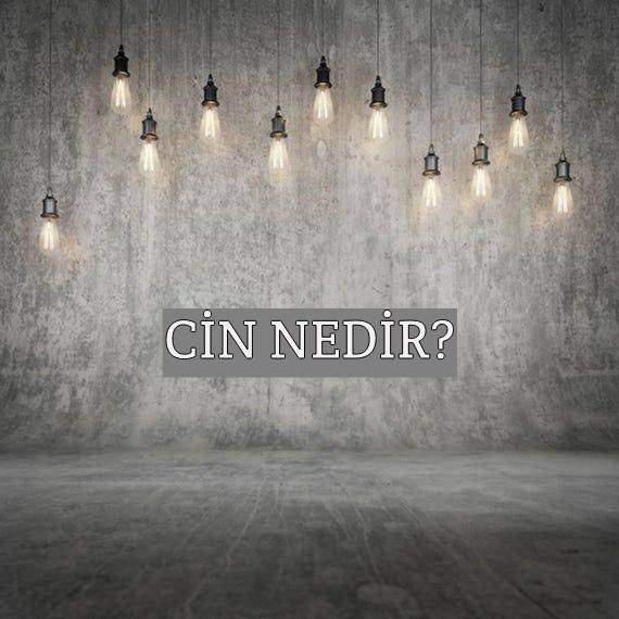 Cin Nedir? 3