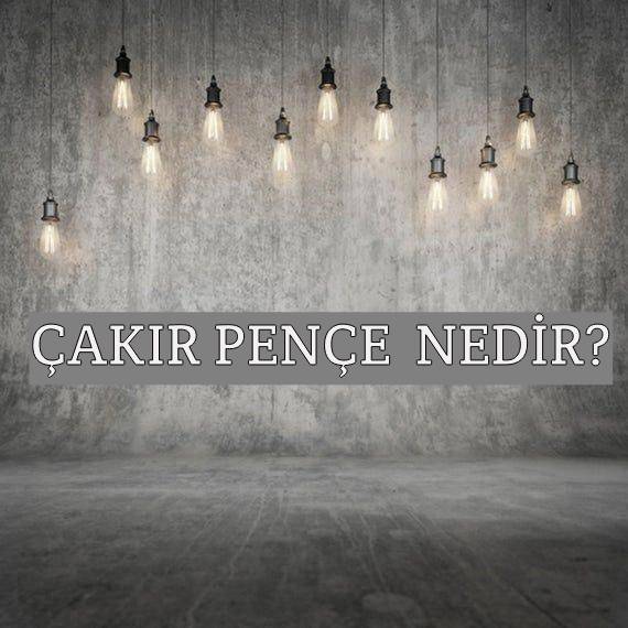 Çakır Pençe Nedir? 1