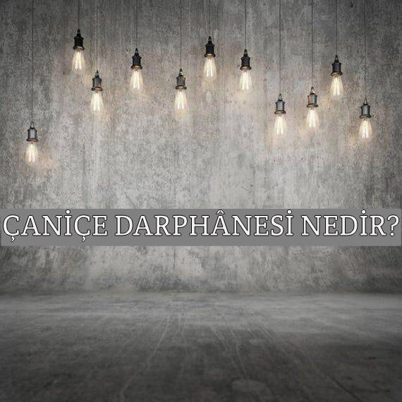 Çaniçe Darphânesi Nedir? 1