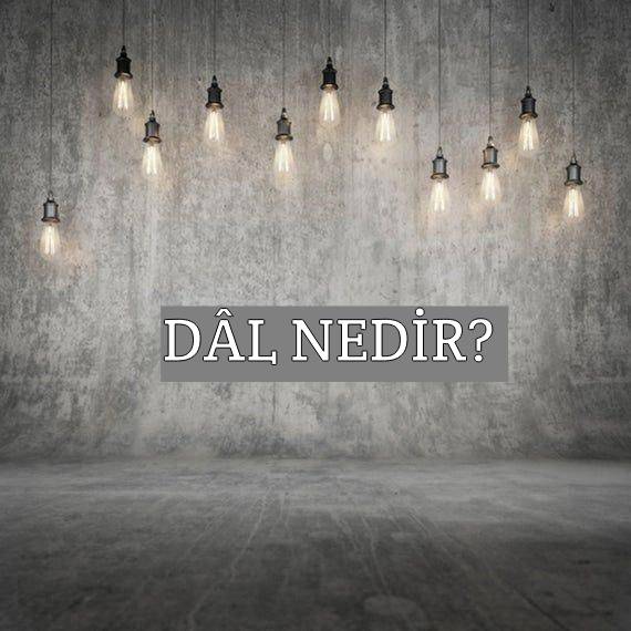 Dâl Nedir? 1