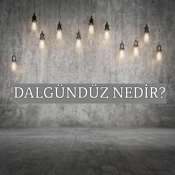 Dalgündüz Nedir? 5
