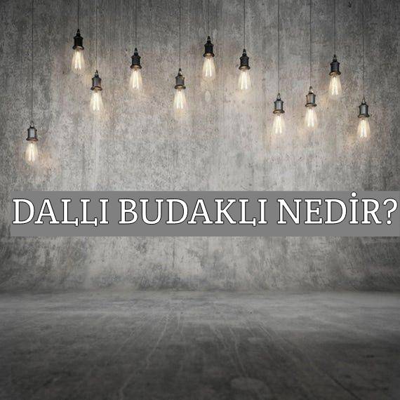 Dallı Budaklı Nedir? 1