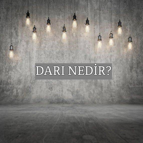 Darı Nedir? 2