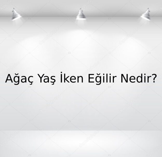 Ağaç Yaş iken Eğilir Nedir? 1