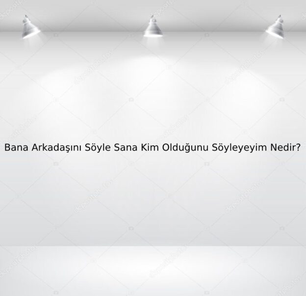 Bana Arkadaşını Söyle Sana Kim Olduğunu Söyleyeyim Nedir? 4