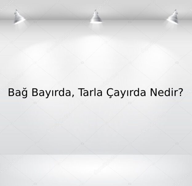 Bağ Bayırda, Tarla Çayırda Nedir? 1